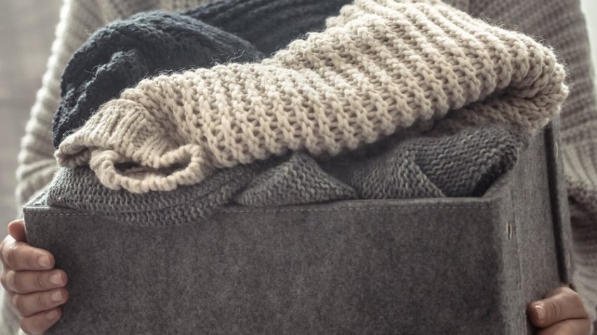 Фото: freepik.com