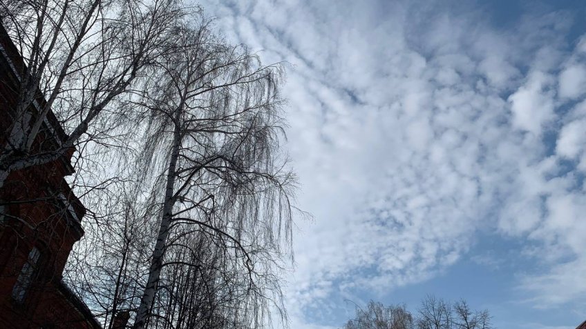 Фото: mosaica.ru