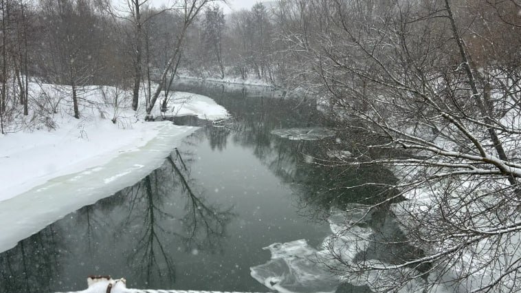 Фото: ТГ-канал Город Ульяновск