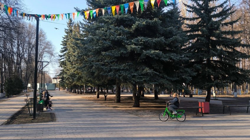 Фото: ТГ-канал Парки Ульяновска