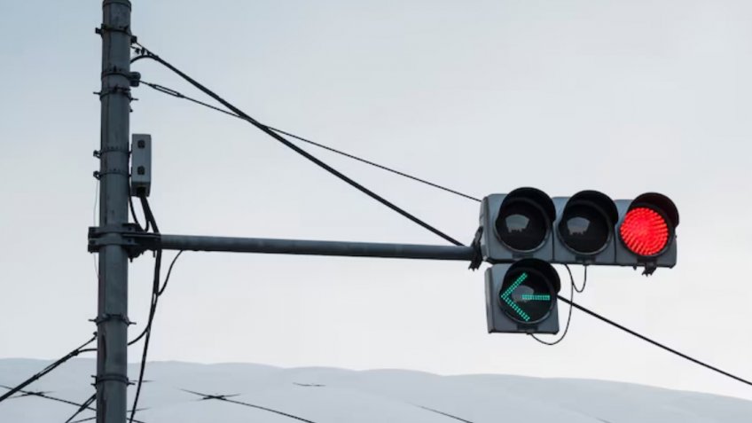 Фото: freepik.com