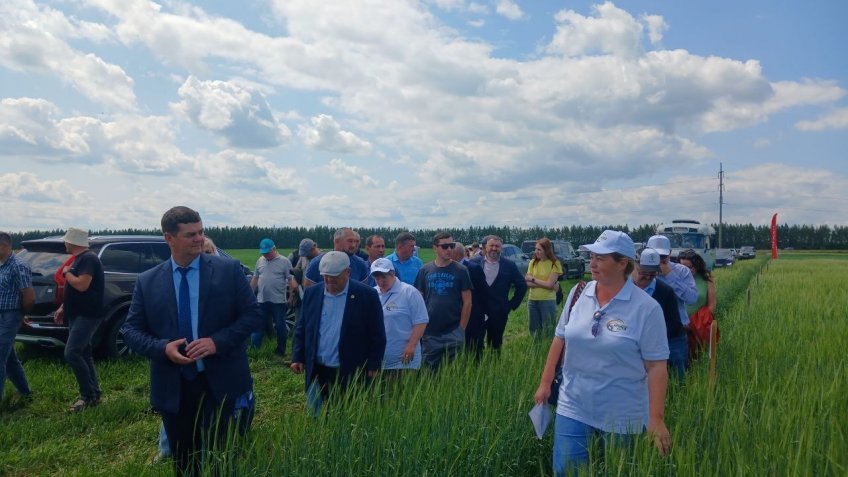 Фото: ТГ-канал Пресс-служба Ульяновского района