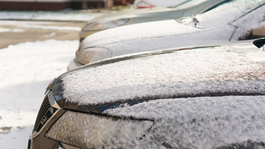 Фото: freepik.com