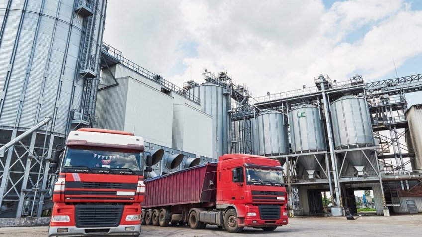 Фото: freepik.com