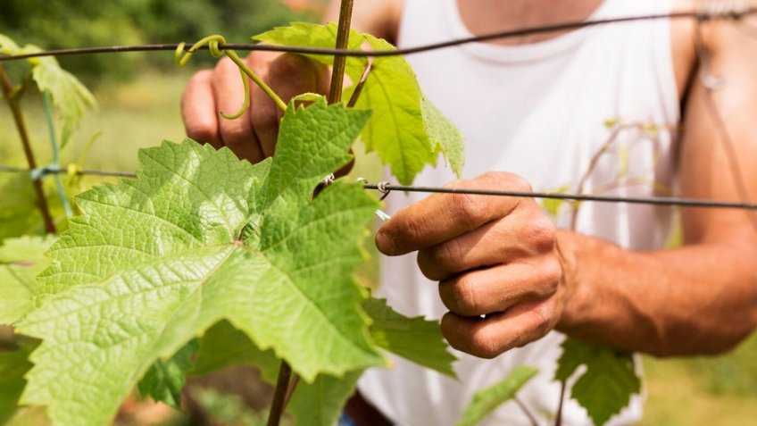 Фото: freepik.com