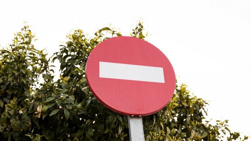 Фото: freepik.com