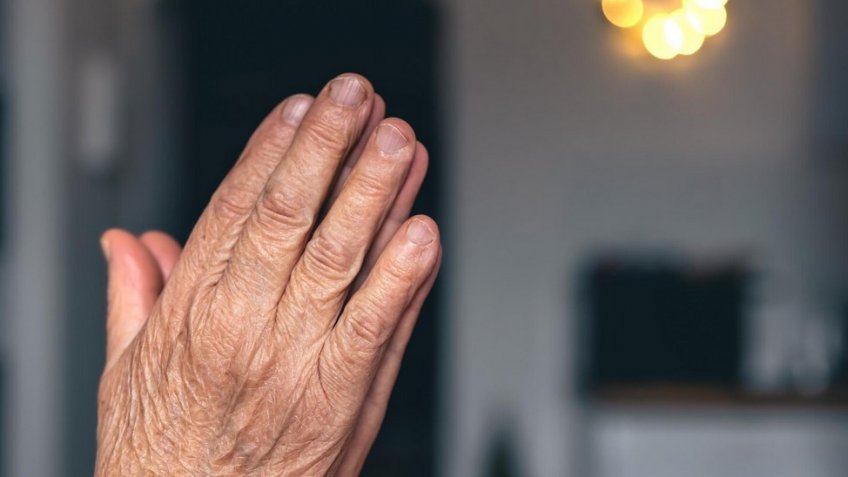 Фото: freepik.com