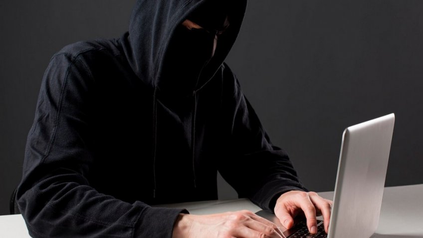 Фото: freepik.com