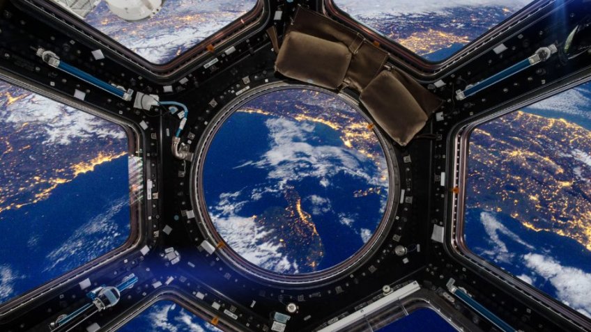 Фото: freepik.com