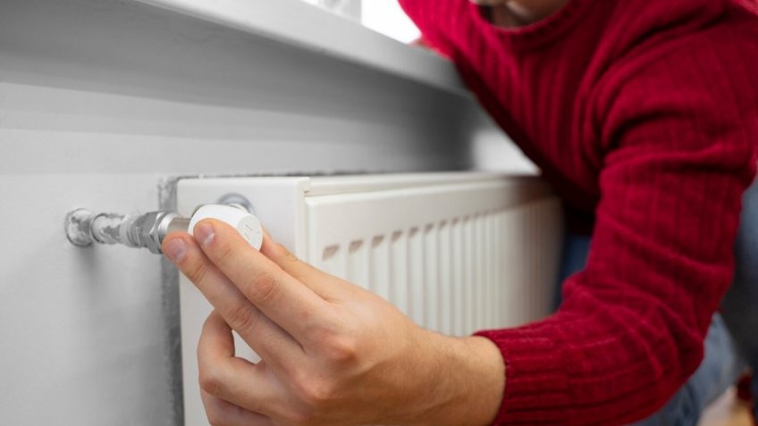 Фото: freepik.com