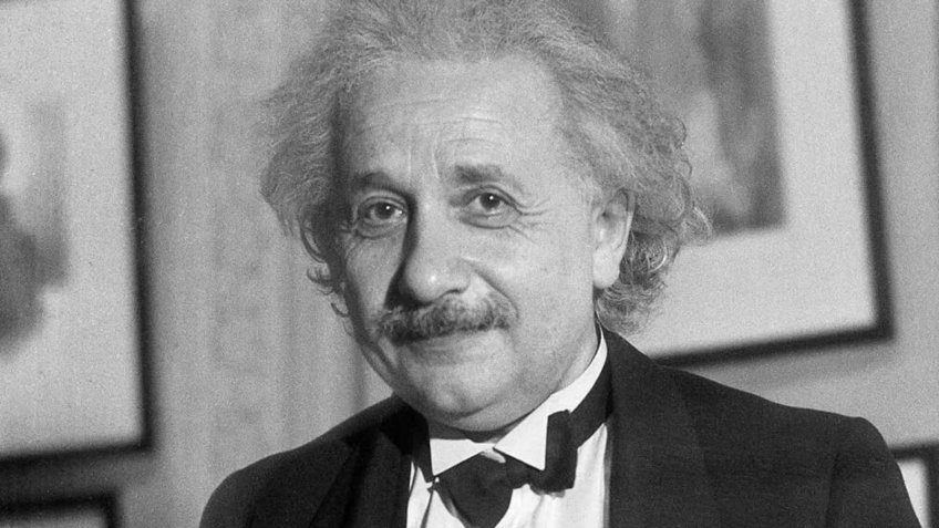 Фото: Американский музей естественной истории