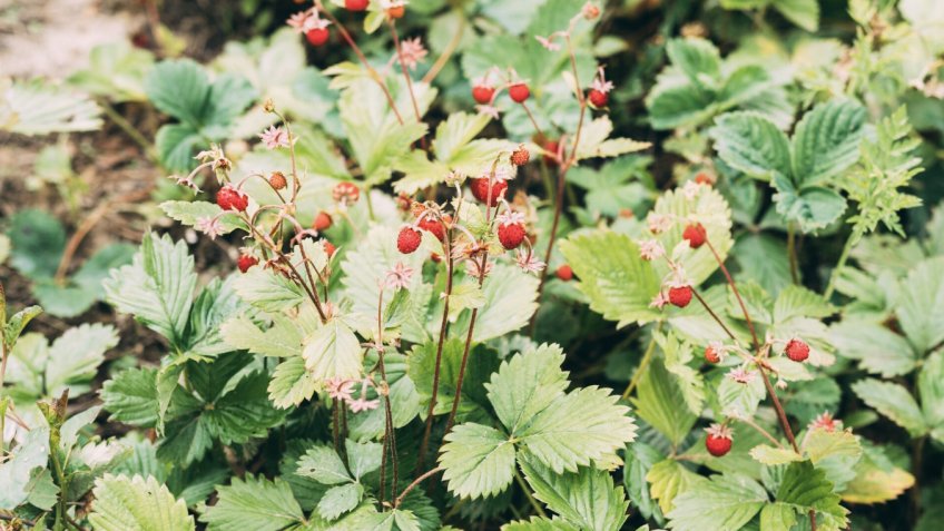 Фото: freepik.com