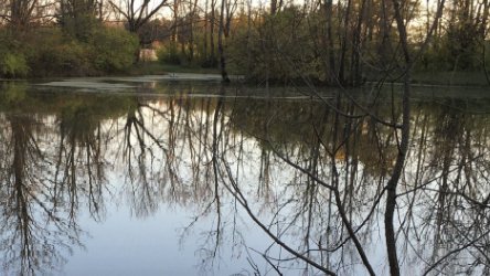 Фото: freepik.com