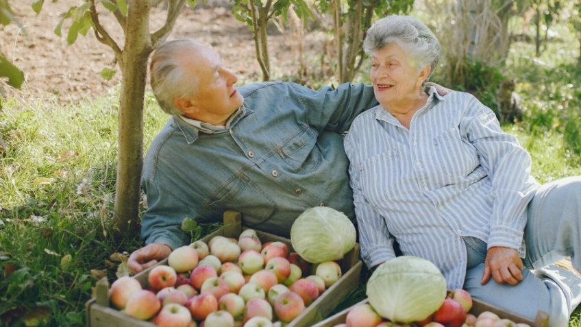 Фото: freepik.com