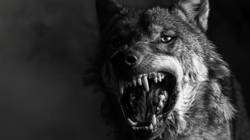 Фото: freepik.com