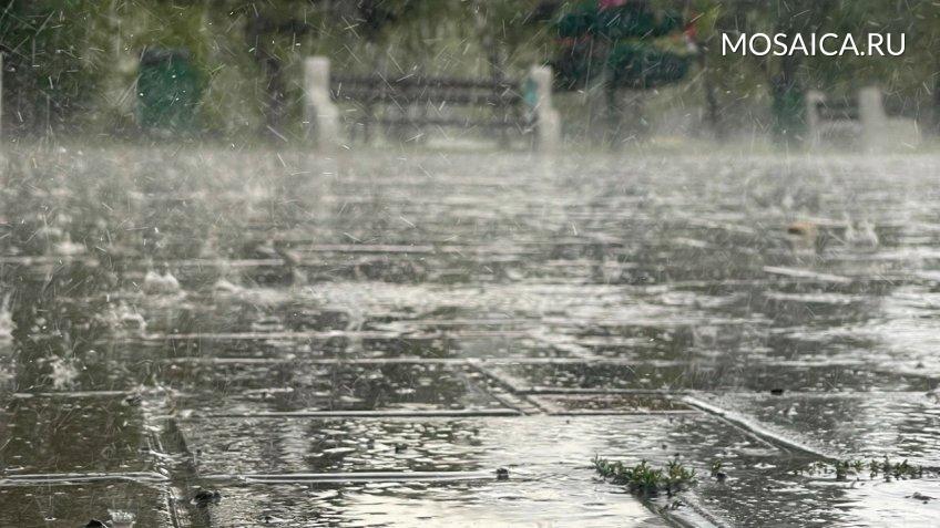 Екатерина Соколова, Мозаика