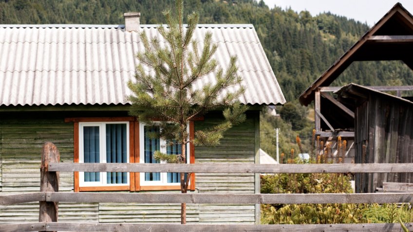 Фото: freepik.com