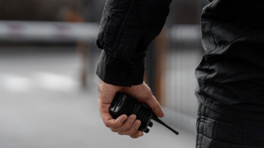 Фото: freepik.com