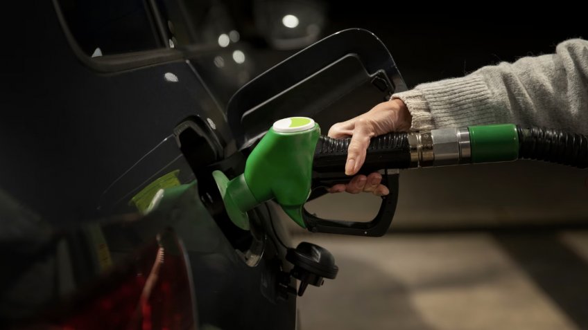 Фото: freepik.com