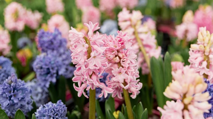 Фото: freepik.com