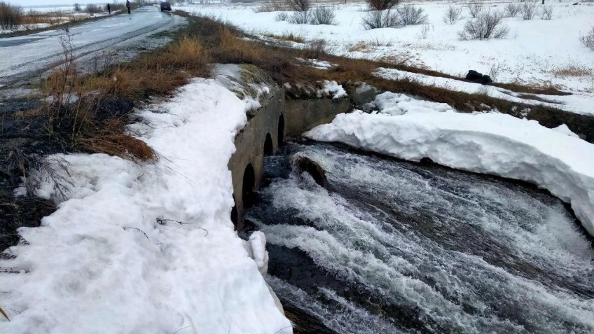 Фото: Минприроды Ульяновской области