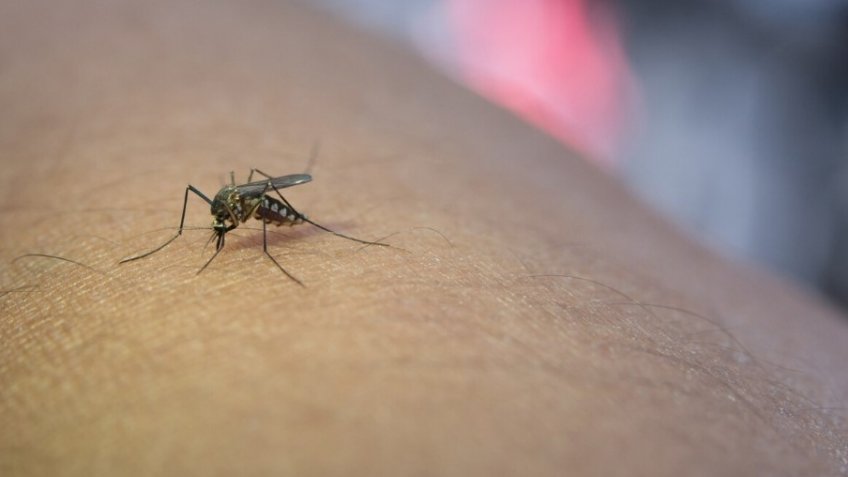 Фото: freepik.com