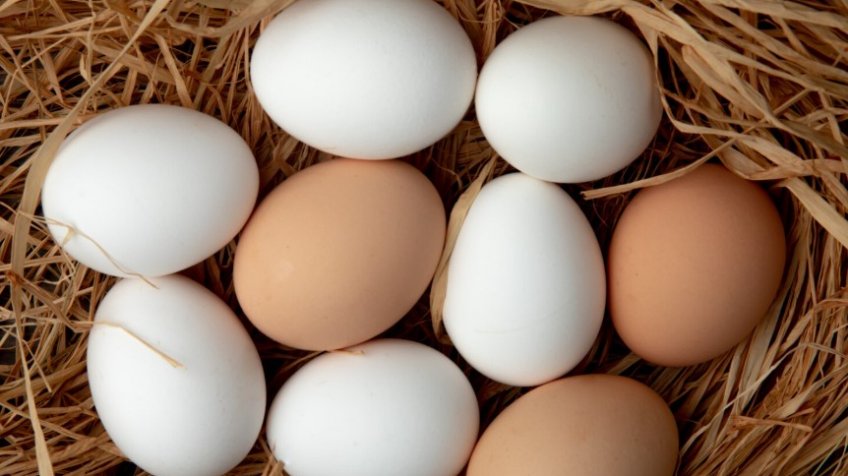 Фото: freepik.com