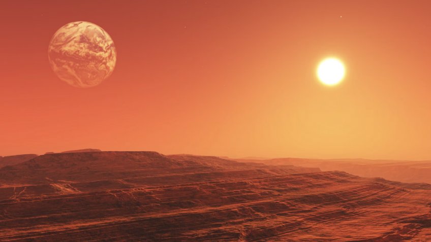 Фото: freepik.com