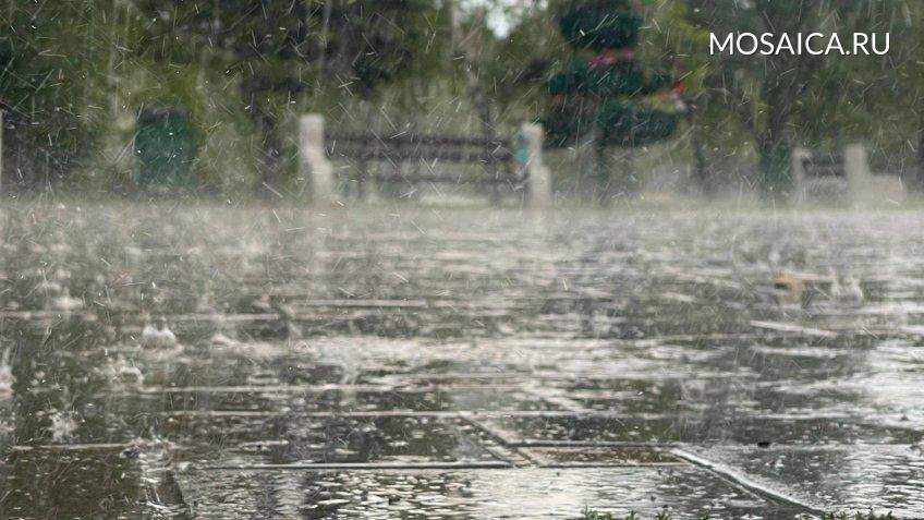 Мозаика, Екатерина Соколова