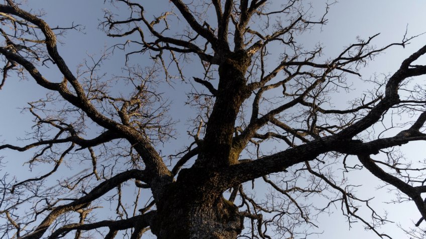 Фото: freepik.com