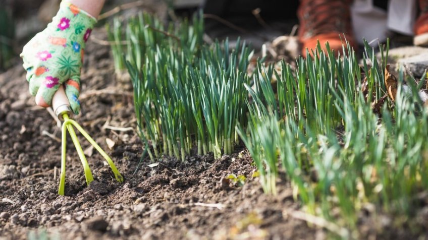 Фото: freepik.com