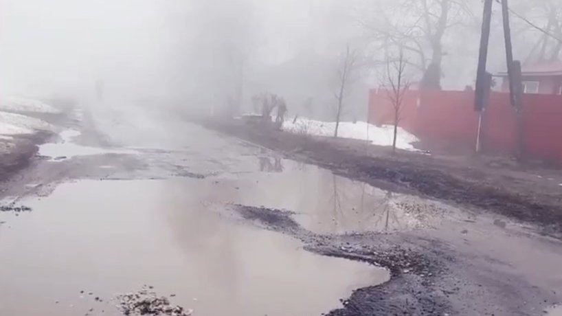 Фото: личный архив старосты села Контанистовой Светланы