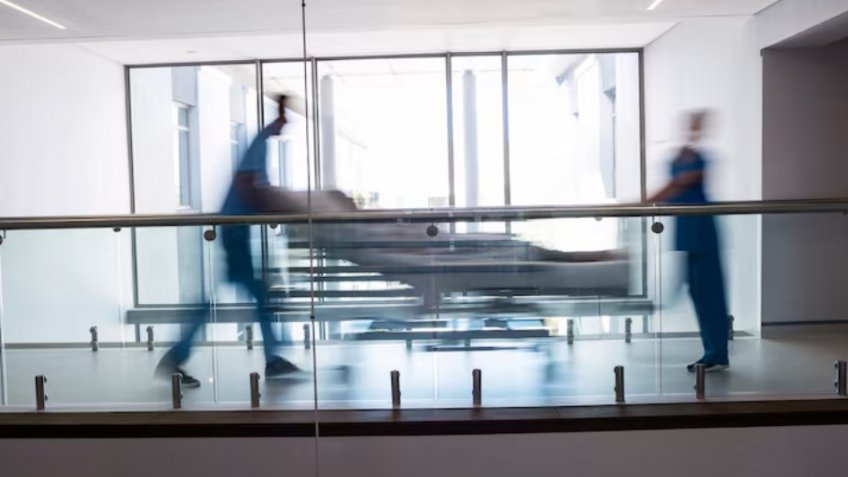 Фото: freepik.com