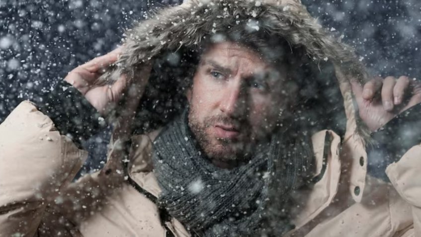 Фото: freepik.com