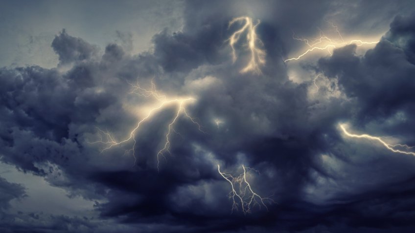 Фото: freepik.com