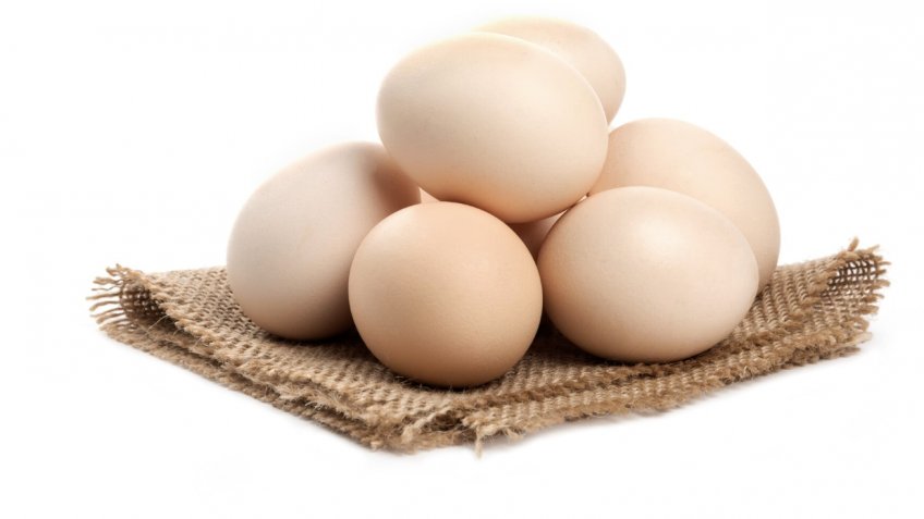 Фото: freepik.com