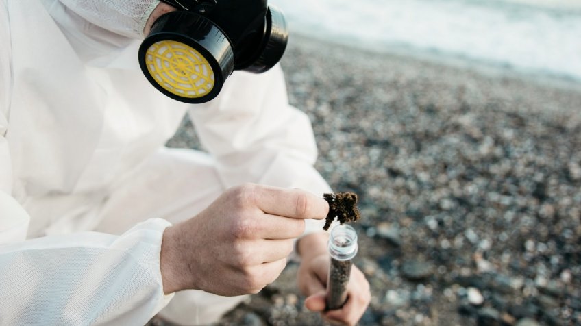 Фото: freepik.com