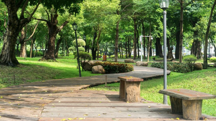 Фото: freepik.com