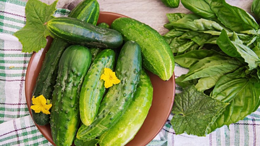 Фото: freepik.com