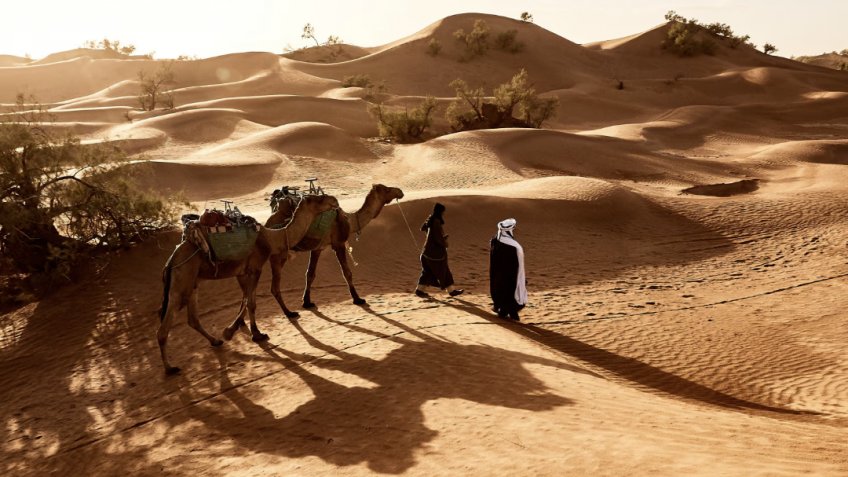 Фото: freepik.com