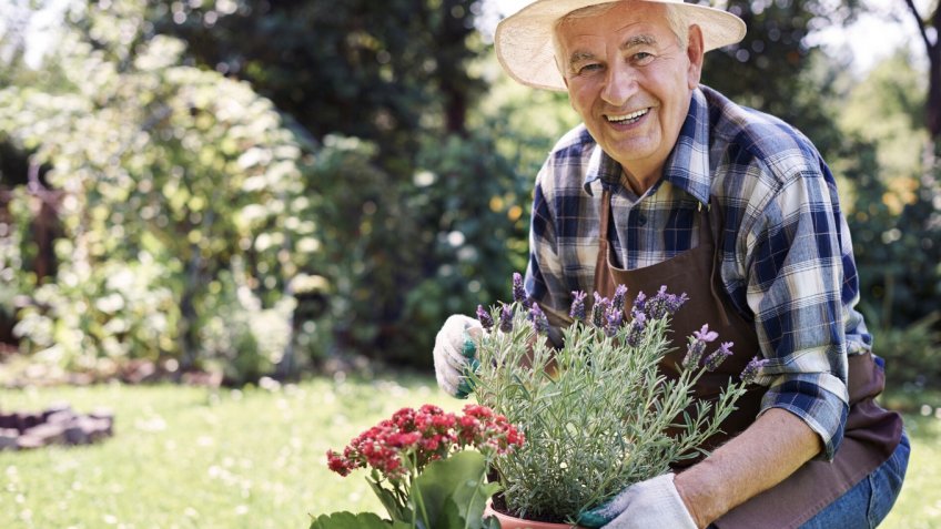 Фото: freepik.com