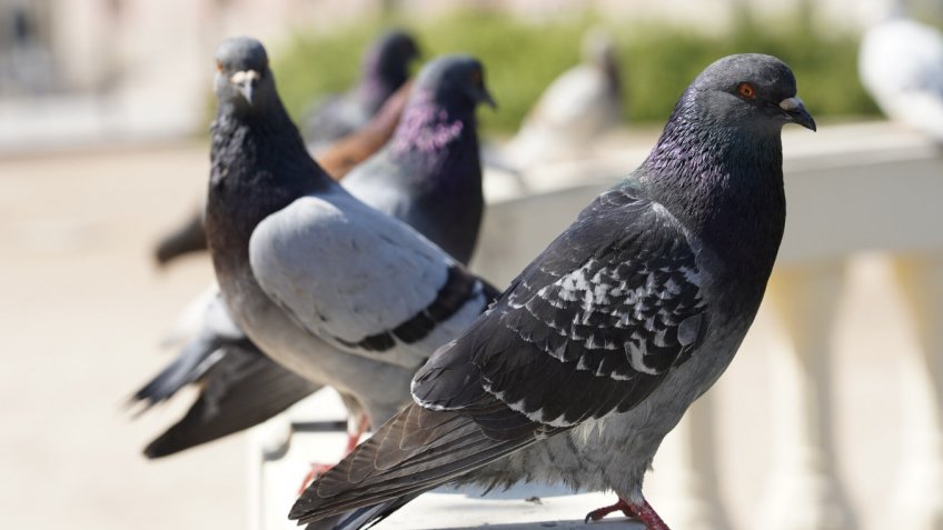 Фото: freepik.com