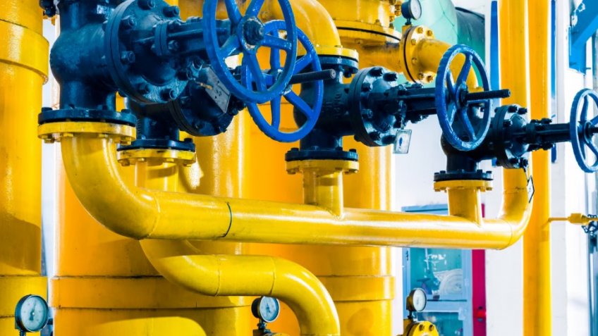 Фото: freepik.com