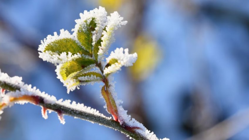 Фото: freepik.com