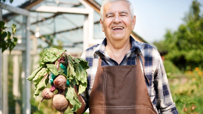 Фото: freepik.com