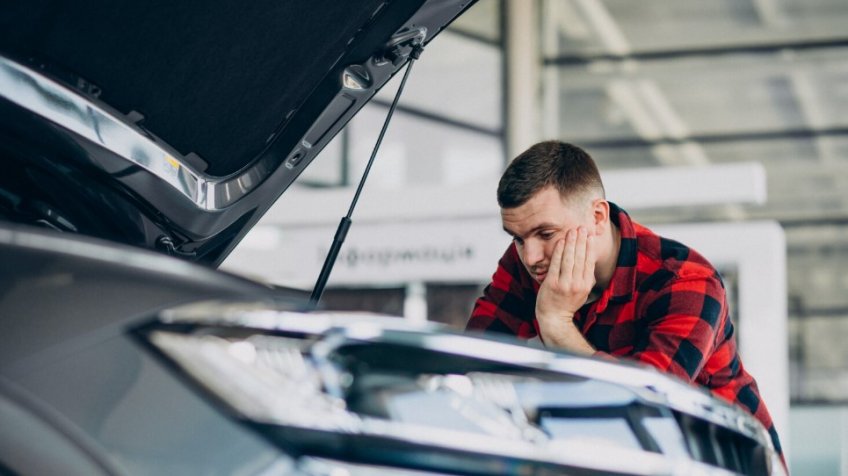 Фото: freepik.com