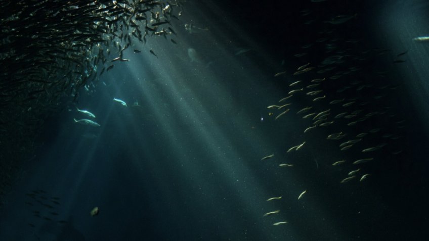 Фото: freepik.com