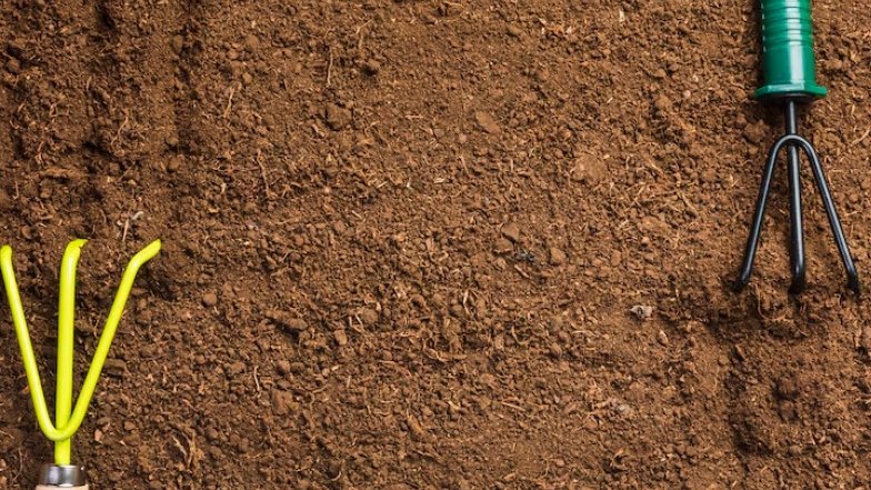 Фото: freepik.com