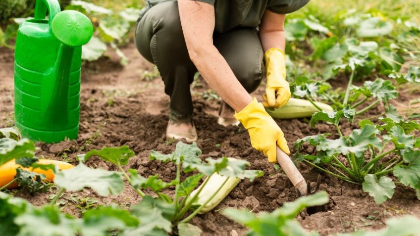 Фото: freepik.com