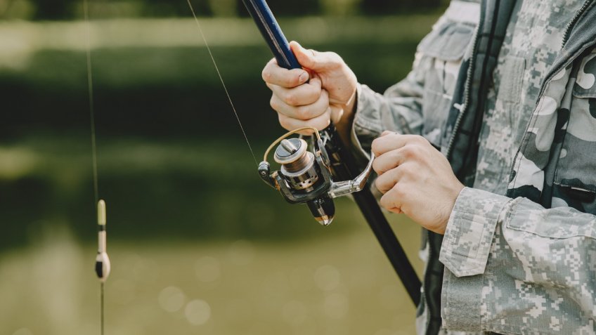 Фото: freepik.com